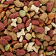 Illustration for article titled Purina is Being Sued for Allegedly Killing Over 4,000 Dogs